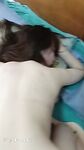 私密電報群內部會員最新收錄 淫妻反差婊私拍甄選 淫亂女神各種操