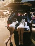 完美露臉SS級魔鬼身材終極美穴上流明星級反差婊RosesJoo私拍金主的玩物戶外露出雙飛調教