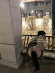 推特巨乳網紅『芙烈亞』大尺度露出私拍 各種場所露出 商場街道 全裸爬樓道