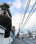 字母界女神『薈萃』帶壞淫戲調教母狗 露出訓犬捆綁 調教金屬光澤閃耀M奴之心 高清